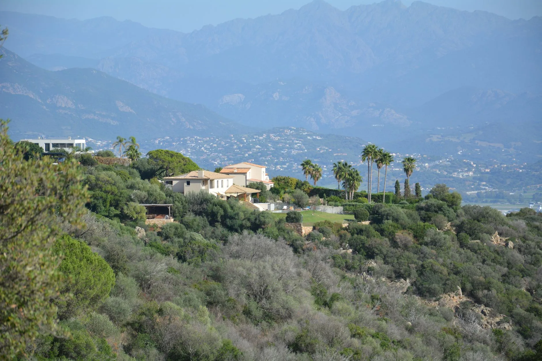 Cagnano (Cap Corse)