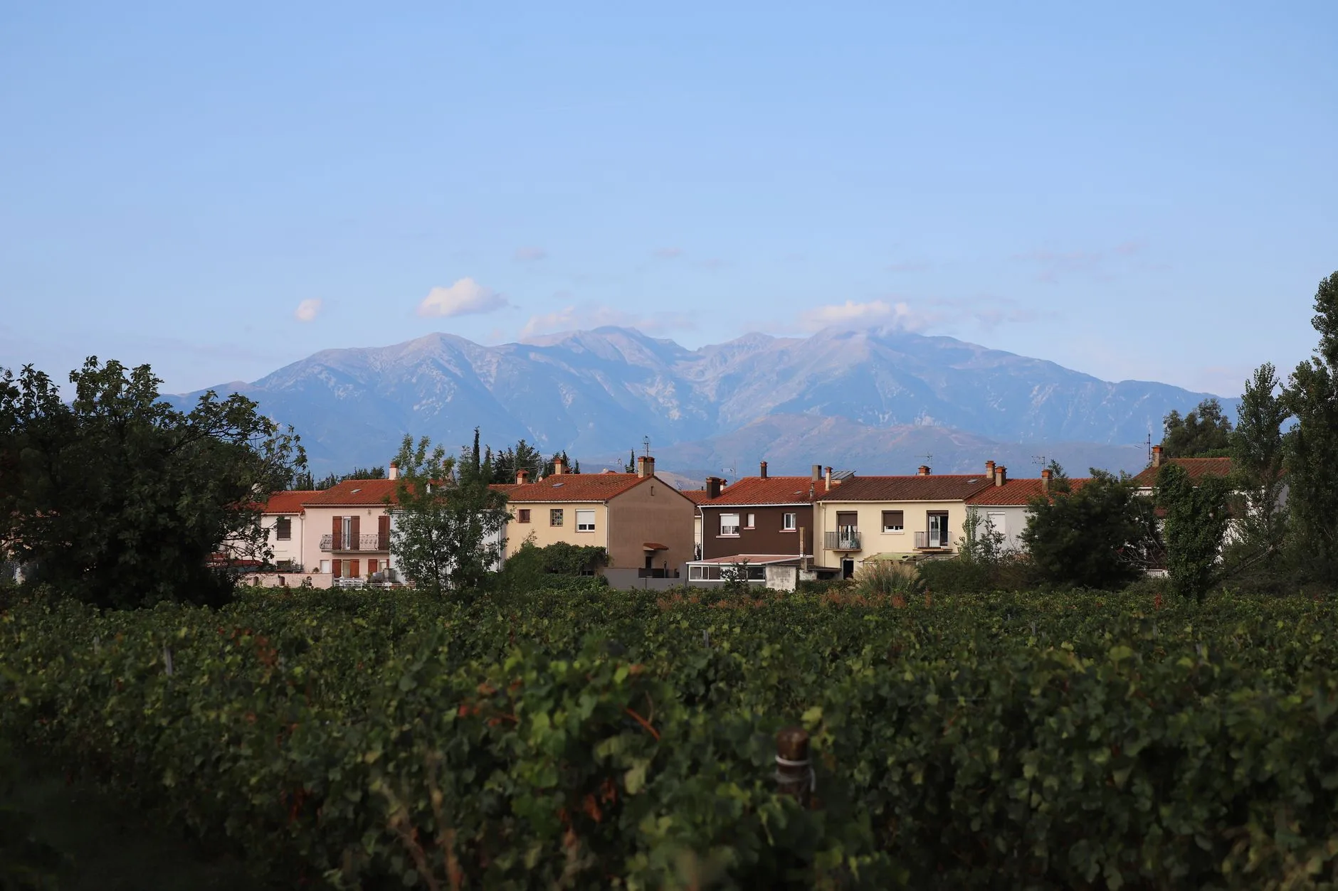 Crillon-le-Brave